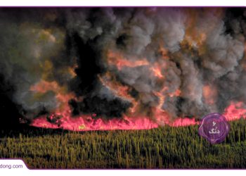 آتش به جان قطب نفت شیل کانادا افتاد؛ فورت مک موری در آستانه تخلیه